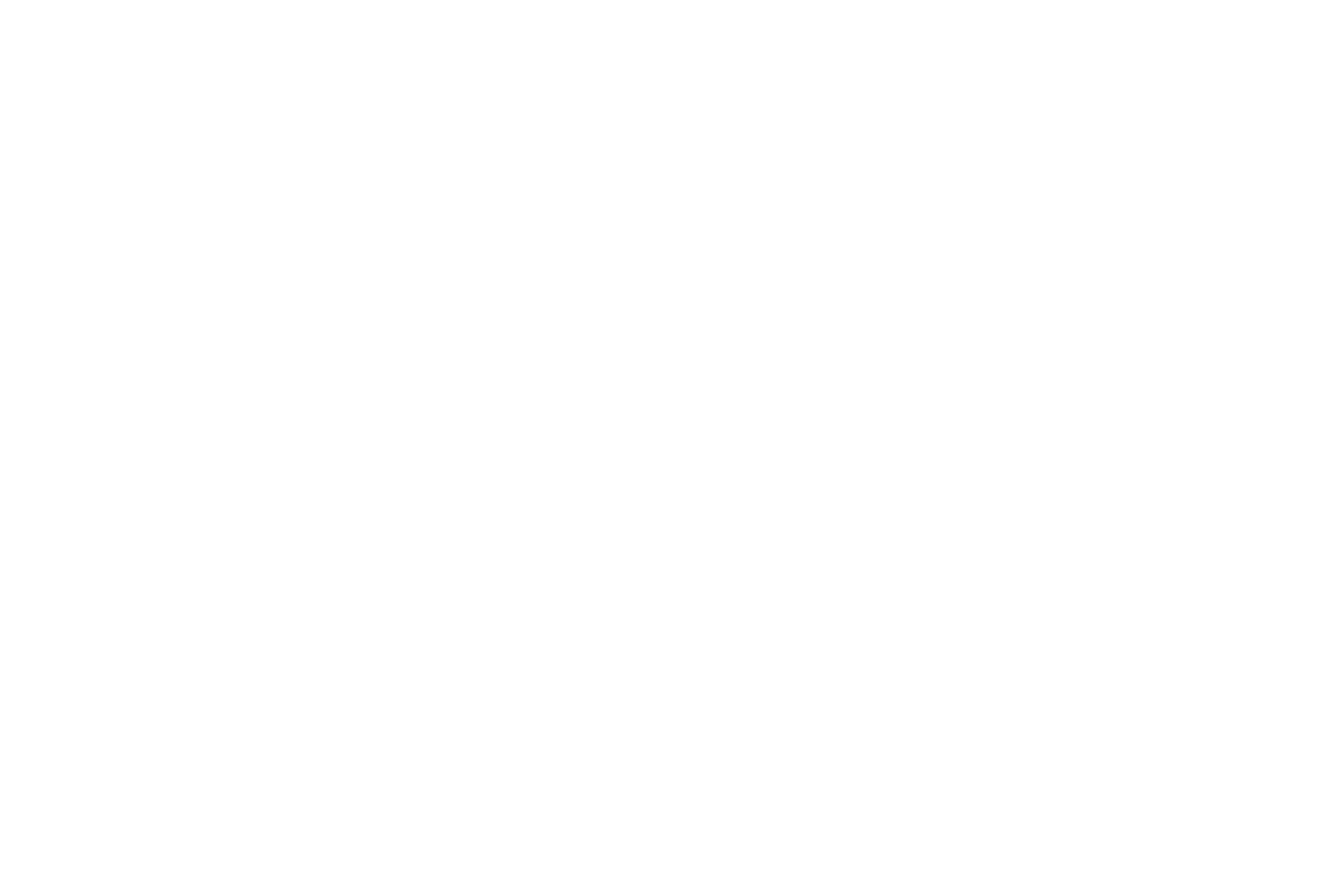 PINHALimPACT logo
